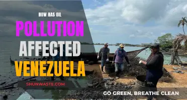 Oil Pollution's Impact: Venezuela's Troubled Waters