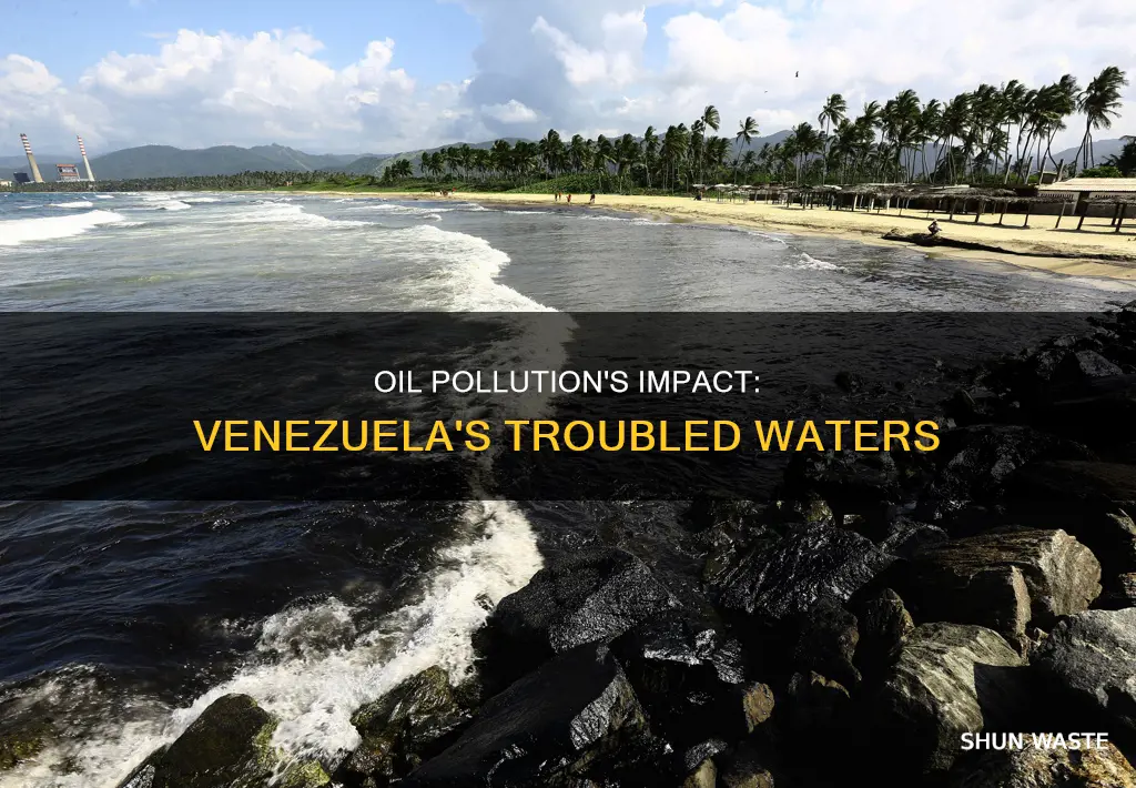 how has oil pollution affected venezuela