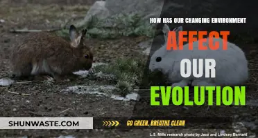 Environmental Shifts: How Climate Change Shapes Human Evolution and Adaptation