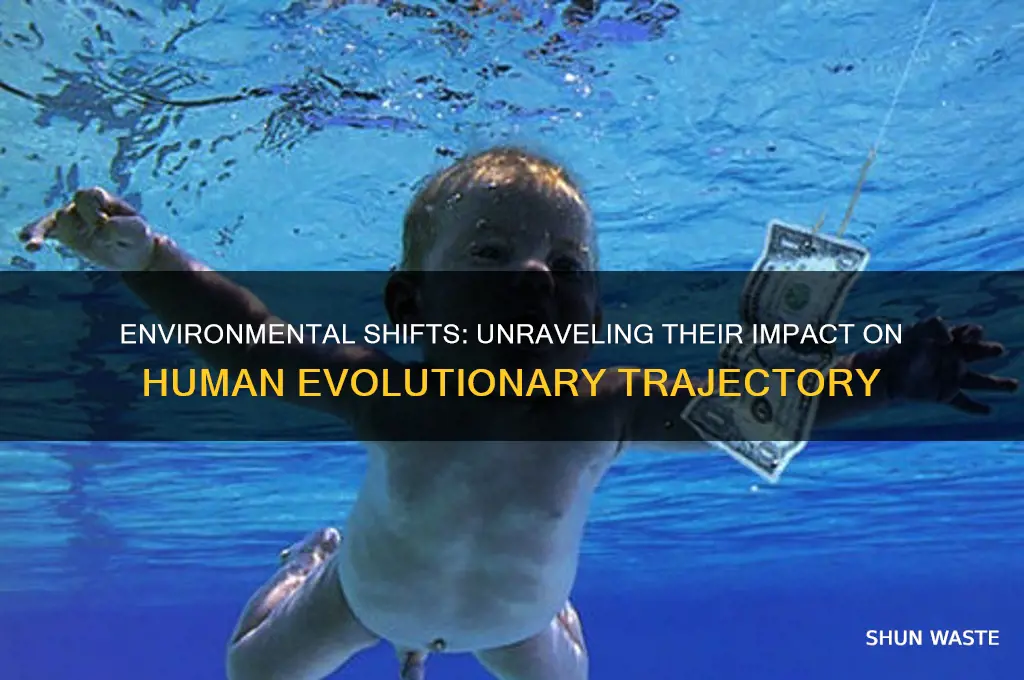 how has our changing environment affected our evolution