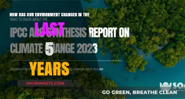 Environmental Shifts: 5 Years of Climate, Wildlife, and Ecosystem Changes