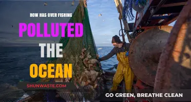 The Devastating Impact of Overfishing on Our Oceans