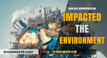 Overpopulation's Environmental Toll: Challenges, Consequences, and Sustainable Solutions