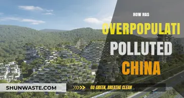 Overpopulation's Impact: China's Pollution Crisis