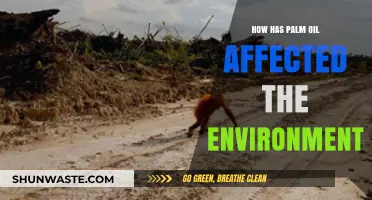 Palm Oil's Environmental Impact: Deforestation, Biodiversity Loss, and Climate Change