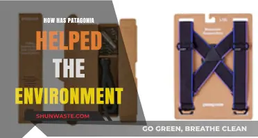 Patagonia's Green Impact: Sustainable Practices and Environmental Stewardship