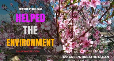 Peach Pass: Reducing Emissions and Enhancing Georgia's Environmental Sustainability