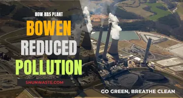 Plant Bowen: Reducing Pollution, Improving the Environment