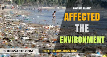 Plastic's Environmental Impact: Pollution, Wildlife Threats, and Ecosystem Destruction
