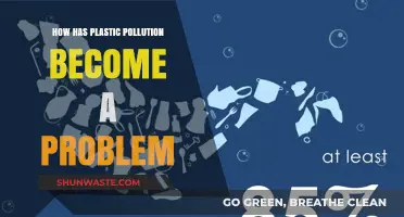 Plastic Pollution: A Global Crisis