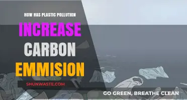 Plastic Pollution's Carbon Emission Impact