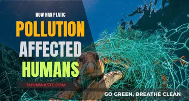 Plastic Pollution: Humans and Their Impacted Health