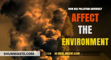 Pollution's Devastating Impact: How Contaminants Destroy Our Fragile Ecosystems