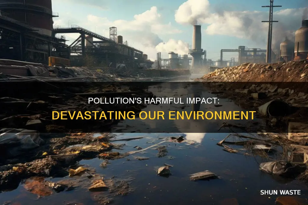 how has pollution adversely affected the environment