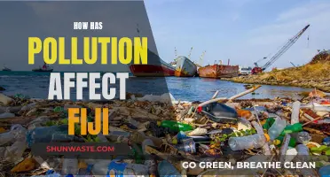 Fiji's Pollution Crisis: Impact and Solutions for the Islands