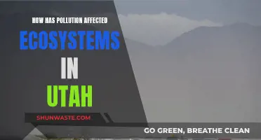 Utah's Ecosystems: Pollution's Impact and Consequences