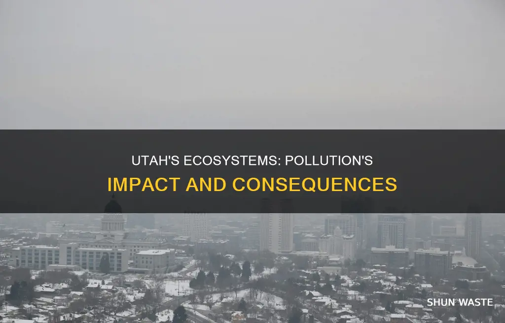 how has pollution affected ecosystems in utah