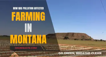 Montana's Farmland: Pollution's Impact and Future Concerns