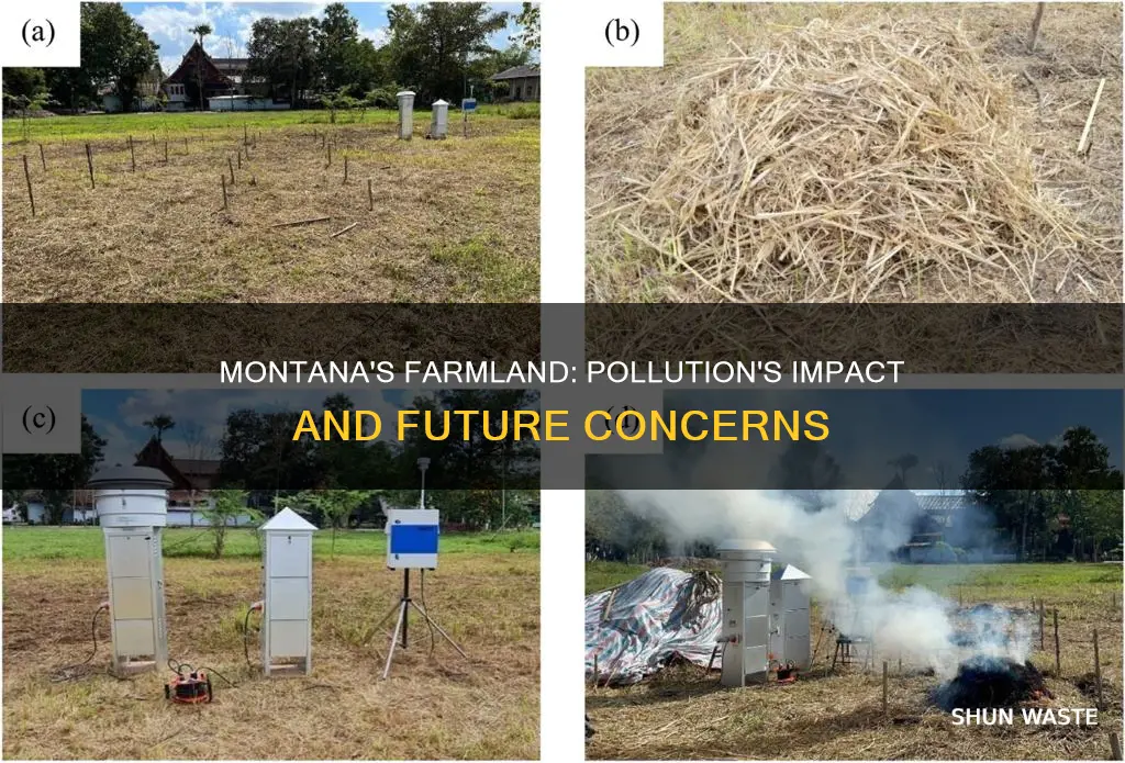 how has pollution affected farming in montana