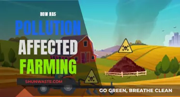 Pollution's Impact: Farming's Future in a Toxic World