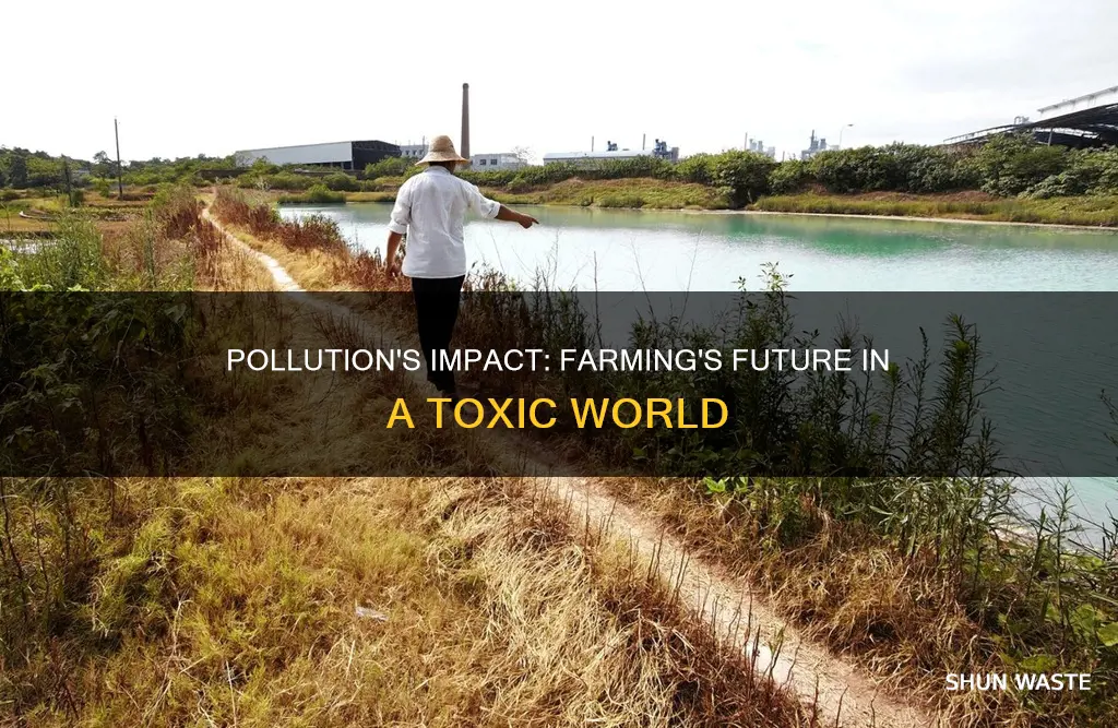 how has pollution affected farming