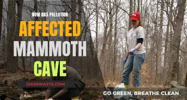 Pollution's Impact on Mammoth Cave: A Worrying Reality