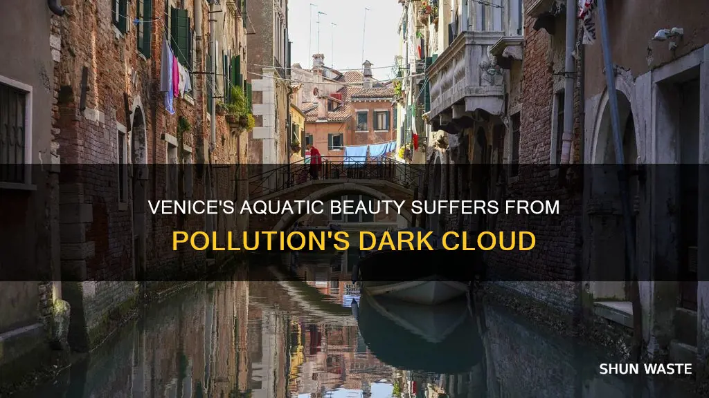 how has pollution affected the city of venice