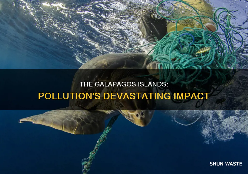 how has pollution affected the galapagos islands