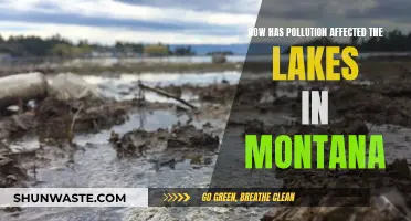 Montana Lakes: Pollution's Impact and the Way Forward