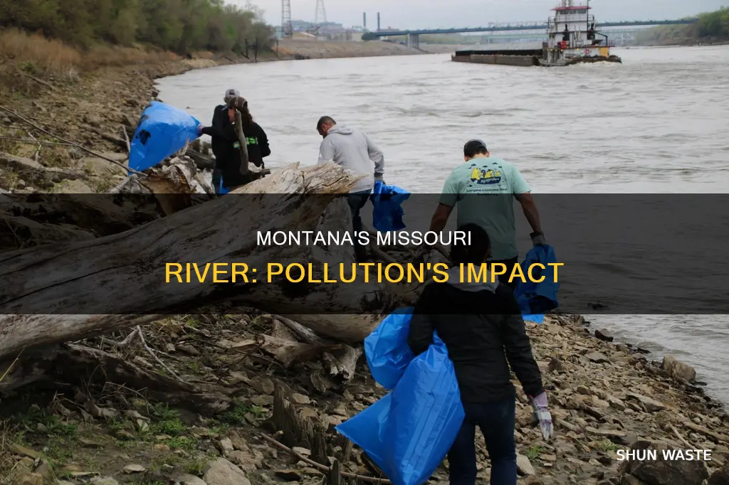 how has pollution affected the missouri river in montana