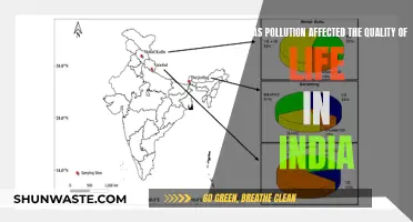 Pollution's Impact on India's Quality of Life