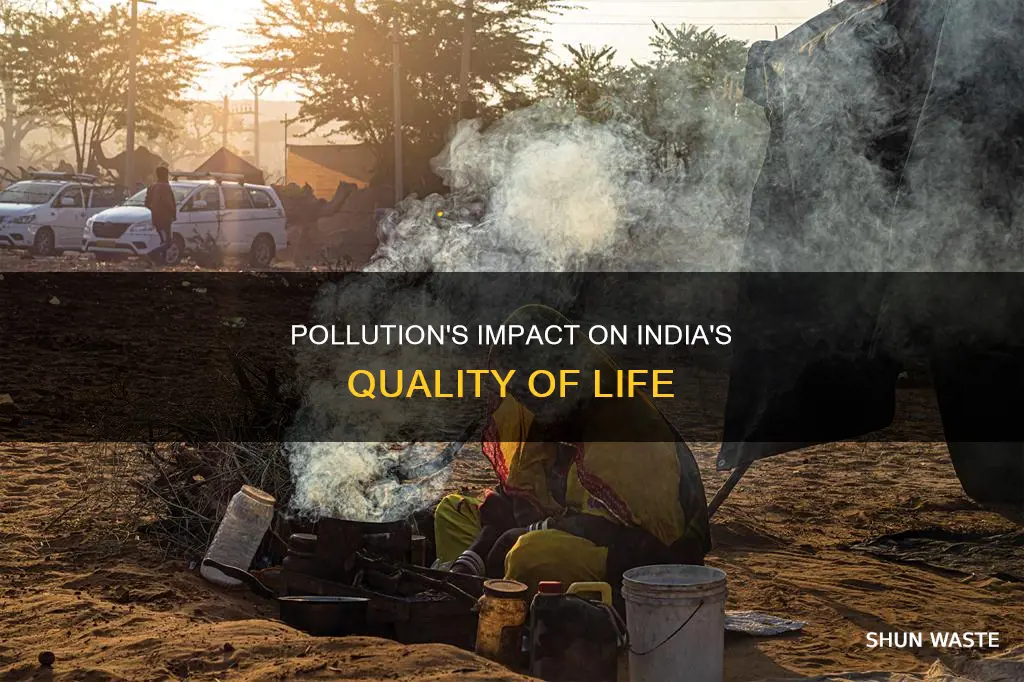 how has pollution affected the quality of life in india