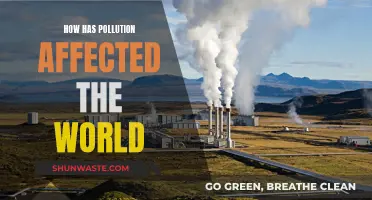 Pollution's Global Impact: A World Changed