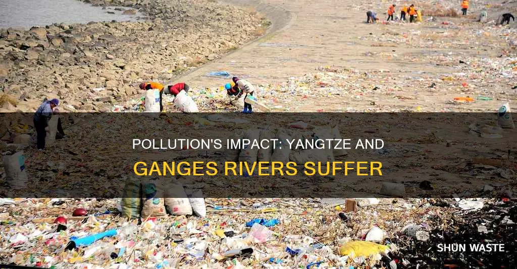 how has pollution affected the yangtze and ganges rivers