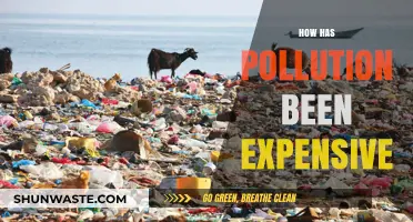 Pollution's Costly Impact: Expensive and Devastating
