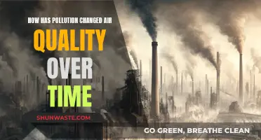 Air Quality: Pollution's Impact and Change Over Time