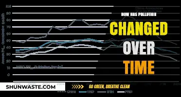 The Evolution of Pollution: Trends and Changes