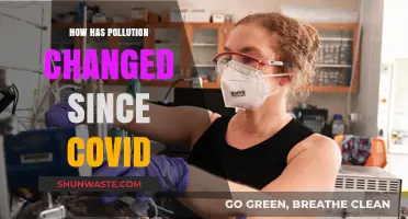Pandemic Impact: Pollution's Uncertain Future
