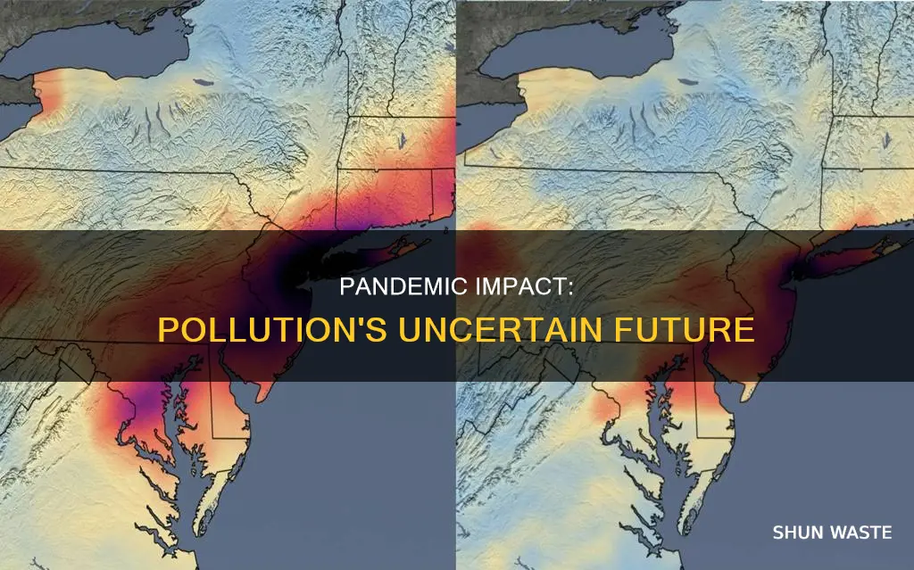 how has pollution changed since covid