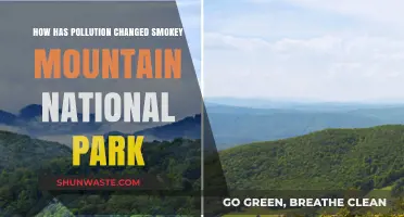 The Smoky Mountains: Pollution's Impact on Nature's Paradise