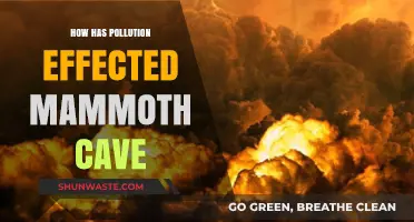 Impact of Pollution on Mammoth Cave
