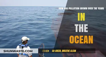 Ocean Pollution: A Growing Crisis