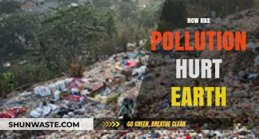The Earth Suffers: Pollution's Harmful Impact