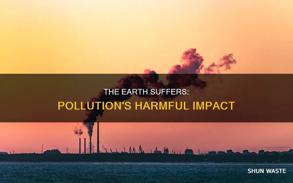 how has pollution hurt earth