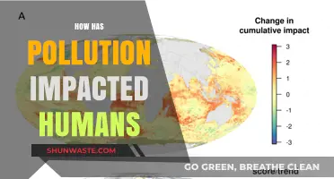 Pollution's Impact: A Human Health Crisis