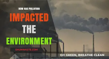 Pollution's Devastating Effects: How Contaminants Are Transforming Our Environment