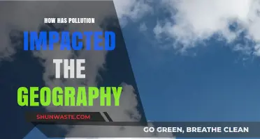 Pollution's Geography: Impact and Insights