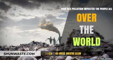 Pollution's Global Impact: A Worldwide Health Crisis