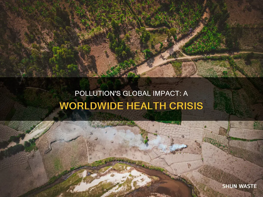 how has pollution impacted the people all over the world