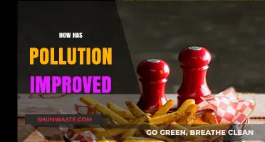 Pollution's Evolution: A Brighter Future Ahead